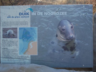 Holiday house Wilgenmeet - Environment photo 26