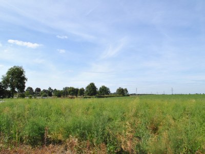 Holiday apartment Familie Lamberts - Environment photo 18