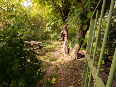 Holiday house in calm surroundings in the Luberon - 219 ROU - Outdoor photo 7