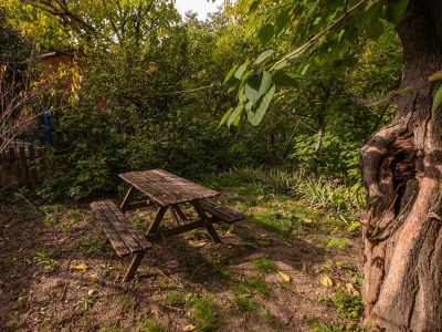 Holiday house in calm surroundings in the Luberon - 219 ROU - Outdoor photo 8