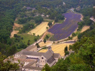 Holiday house in calm surroundings in the Luberon - 219 ROU - Environment photo 23