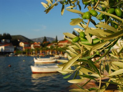 Holiday apartment Luna - Outdoor photo 9