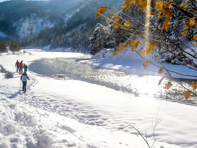 Holiday apartment Hochfilzen Schwarzenauer - Environment photo 19