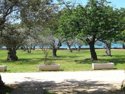 Holiday apartment L und M - Outdoor photo 7