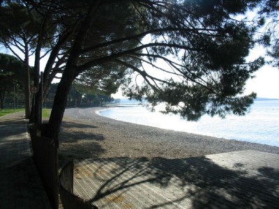 Holiday apartment L und M - Outdoor photo 8