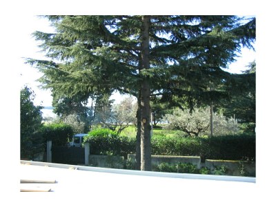 Holiday apartment L und M - Outdoor photo 9