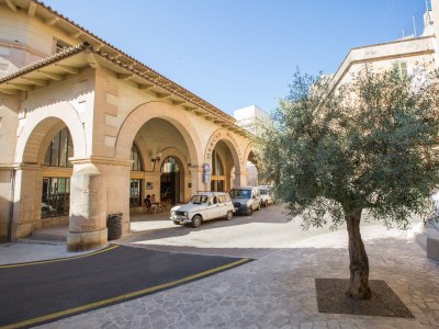 Finca Can Cirerol - 0794 - Environment photo 38