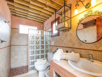 Villa Finca Can Diego - Features photo 24