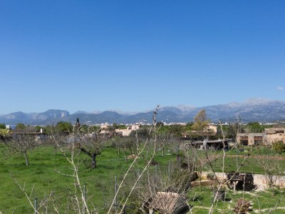 Villa Finca Can Diego - Environment photo 38