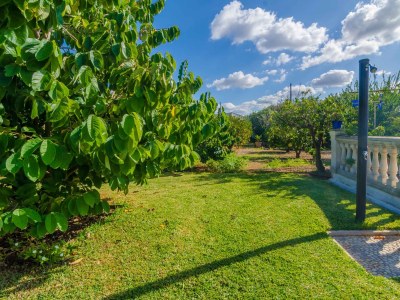 Finca Can Rius - Outdoor photo 15