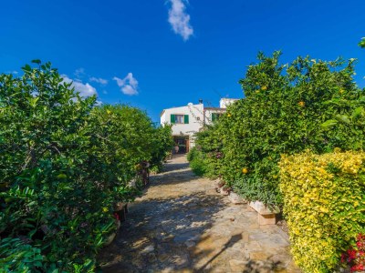 Finca Can Rius - Outdoor photo 16