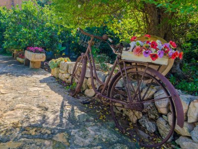 Finca Can Rius - Outdoor photo 17