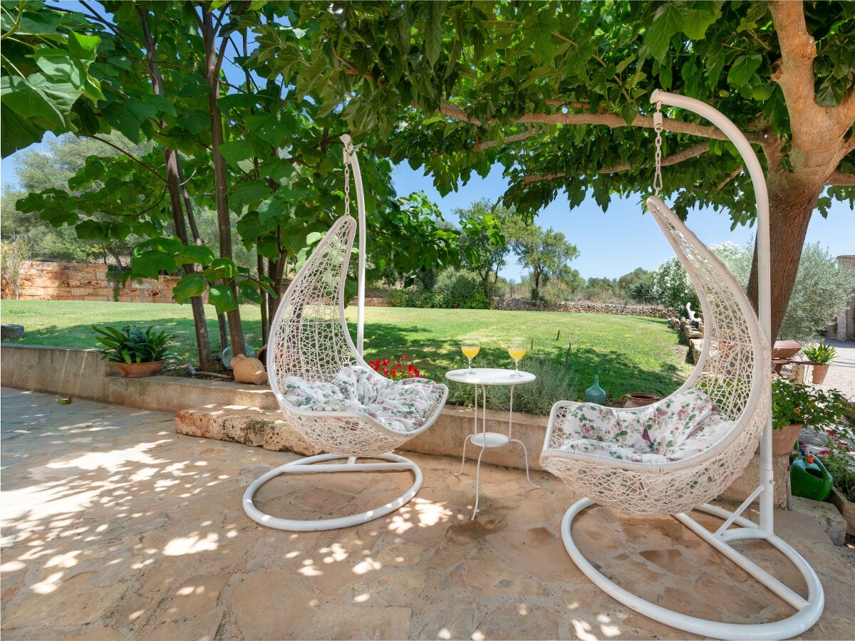 Finca Alcudiola - Features photo 2