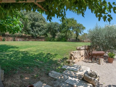 Finca Alcudiola - Features photo 30