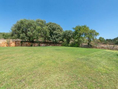 Finca Alcudiola - Features photo 31