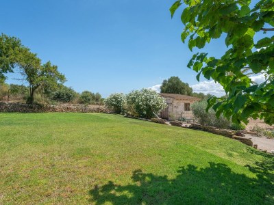 Finca Alcudiola - Features photo 32