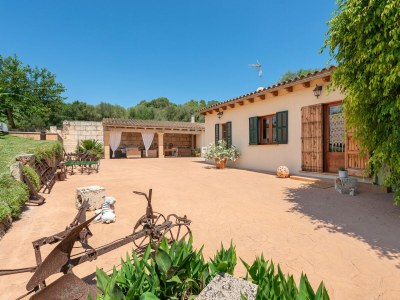 Finca Alcudiola - Features photo 34