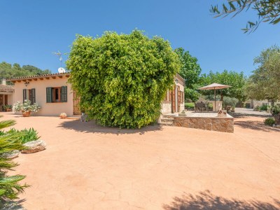 Finca Alcudiola - Features photo 38