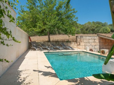 Finca Alcudiola - Features photo 46