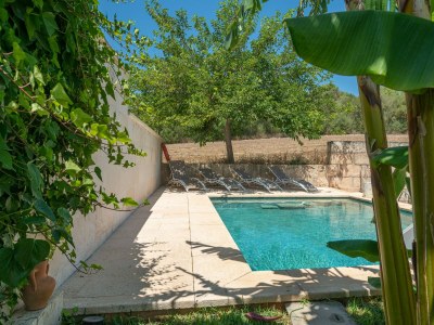 Finca Alcudiola - Features photo 47