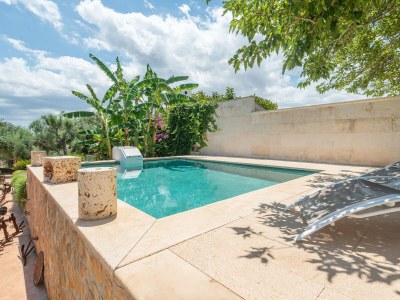 Finca Alcudiola - Features photo 49