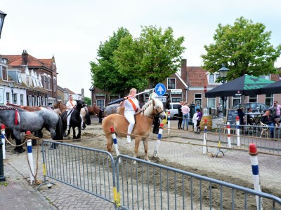 Holiday apartment For 4 people in the holiday resort Broedershoek - Environment photo 13