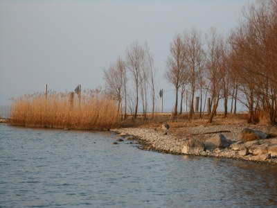 Holiday apartment Daniela - Environment photo 11