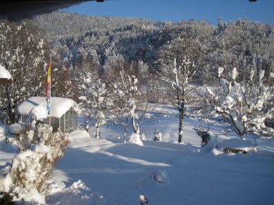 Holiday apartment Holzer Feng-Shui - Outdoor photo 10