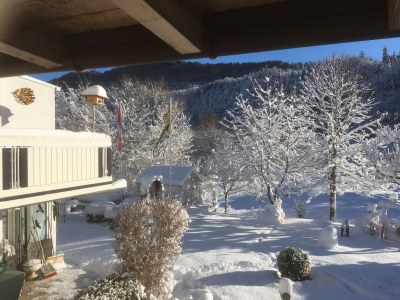 Holiday apartment Holzer Feng-Shui - Outdoor photo 12