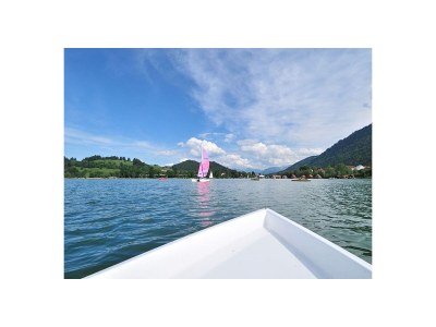 Holiday apartment Holzer Feng-Shui - Environment photo 32