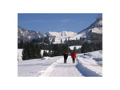 Holiday apartment Holzer Feng-Shui - Environment photo 38