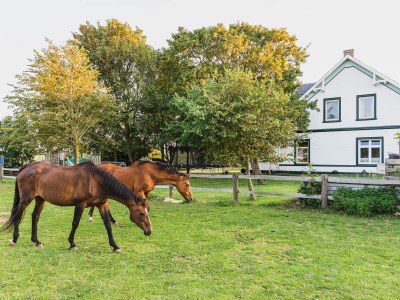 Holiday apartment Holiday farm sea-view - Outdoor photo 4