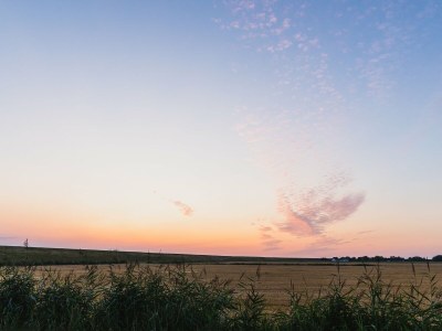 Holiday apartment Holiday farm sea-view - Outdoor photo 11