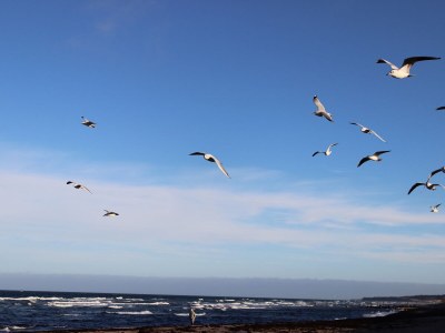 Holiday apartment Holiday farm sea-view - Outdoor photo 12