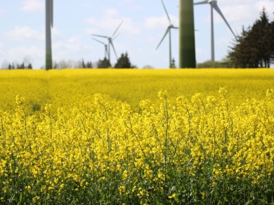 Holiday apartment Holiday farm sea-view - Outdoor photo 13