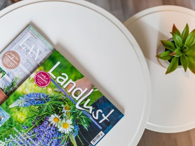 Holiday apartment Holiday farm sea-view - Features photo 19