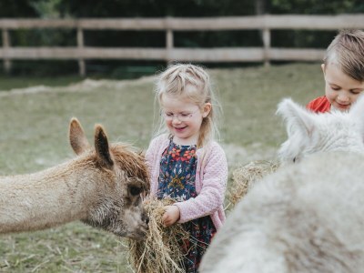 Holiday apartment Holiday farm sea-view - Environment photo 27