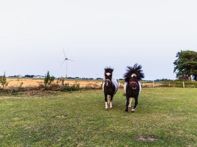 Holiday apartment Holiday farm sea-view - Environment photo 30