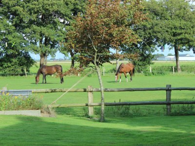 Holiday apartment Holiday farm sea-view - Environment photo 31