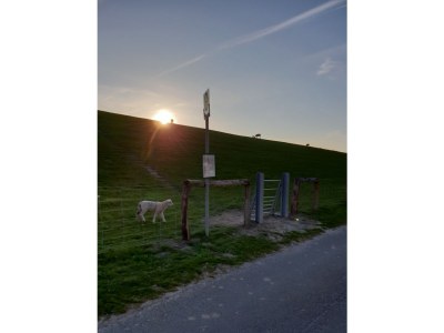 Holiday apartment Holiday farm sea-view - Environment photo 35