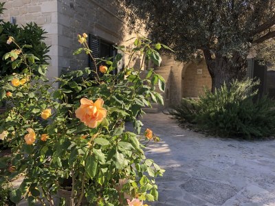 Villa Kato Vatos - Outdoor photo 6