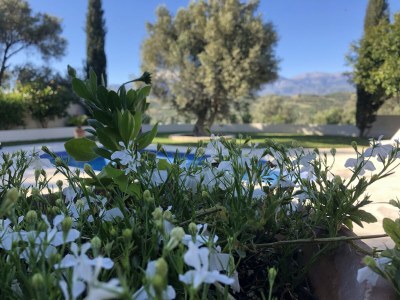 Villa Kato Vatos - Outdoor photo 12