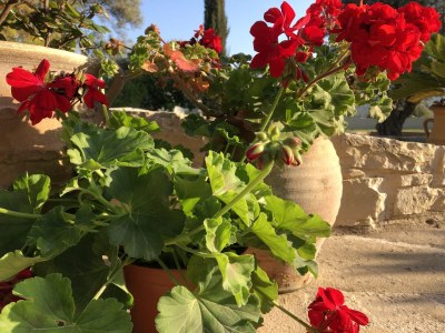 Villa Kato Vatos - Outdoor photo 16