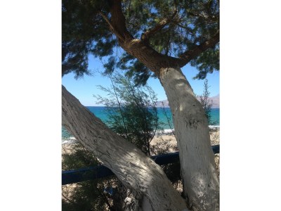 Villa Kato Vatos - Environment photo 33