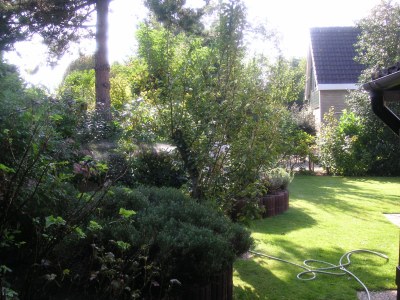 Holiday apartment Mosselbank 18 - Environment photo 13