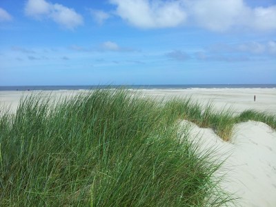 Holiday apartment Mosselbank 18 - Environment photo 16