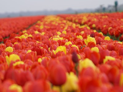 Holiday house Strandslag - Environment photo 17