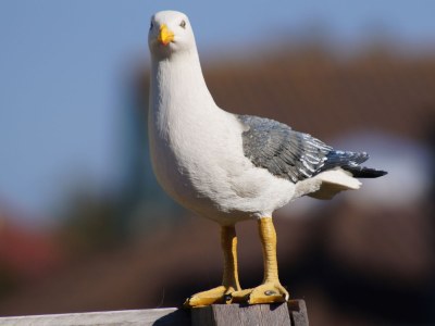 Holiday house Strandslag - Environment photo 20