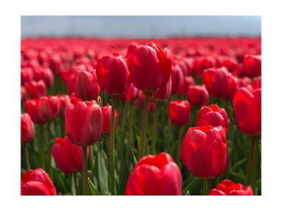 Holiday house Strandslag - Environment photo 21