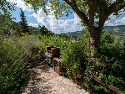 Holiday apartment Comfortable holiday apartment in an old farmhouse with pool - 429 ASS - Outdoor photo 6